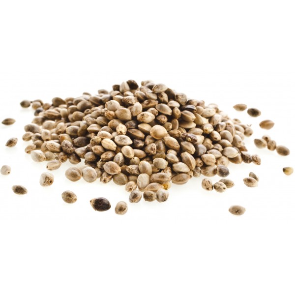 Semi di canapa