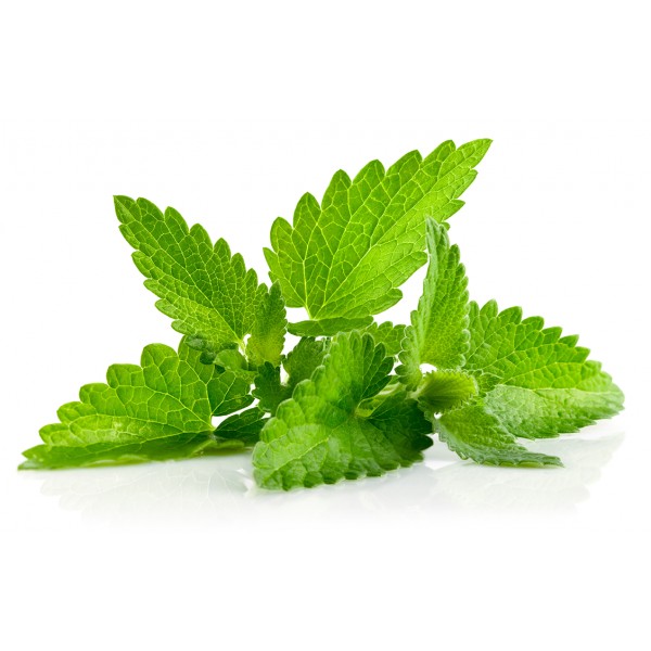 Menta Tritata