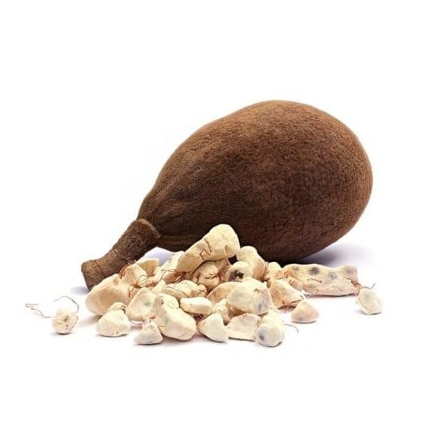 Baobab in Polvere