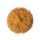 Condimento Cajun